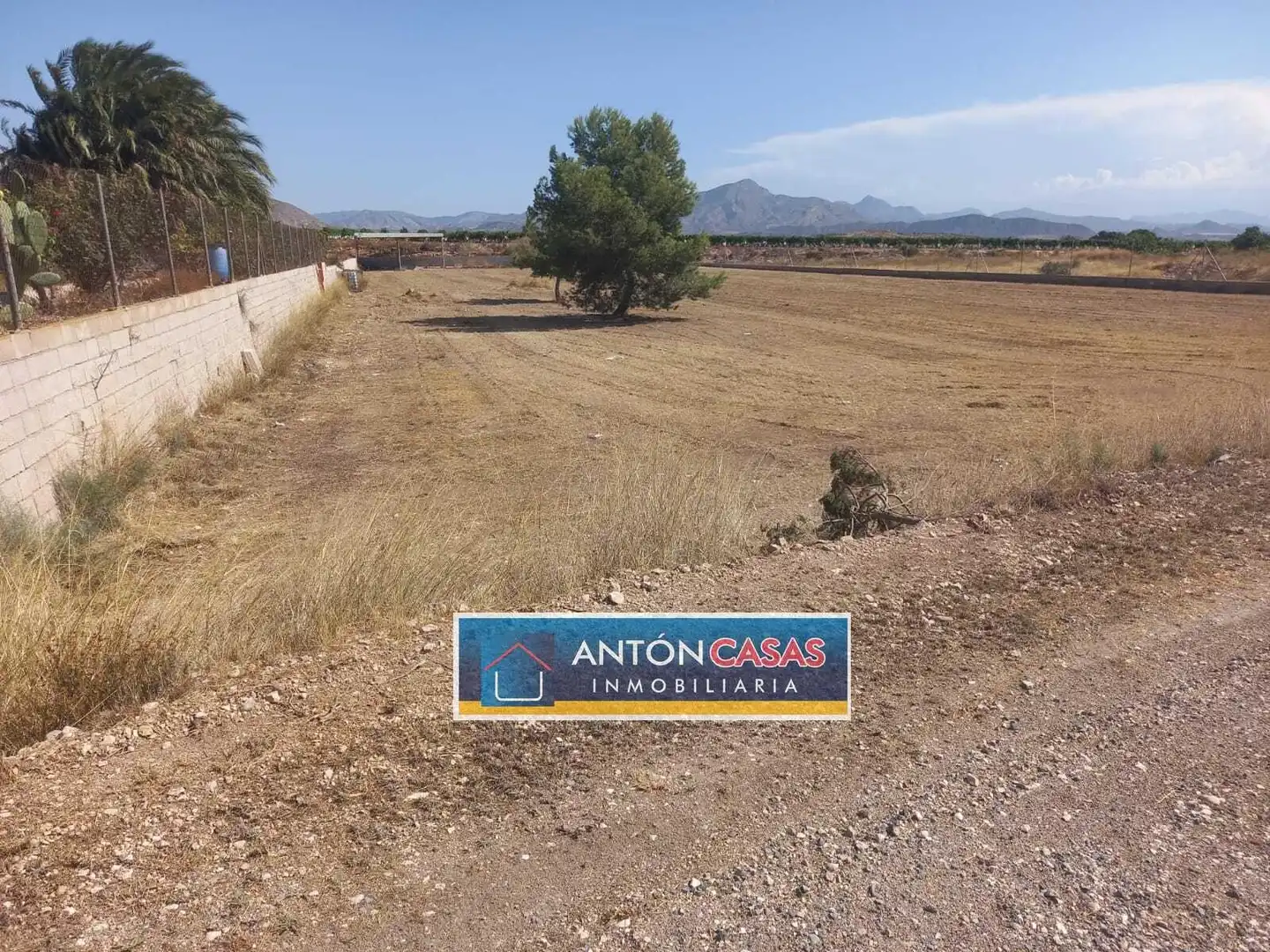 Rural land for sale in Novelda, imagen 5