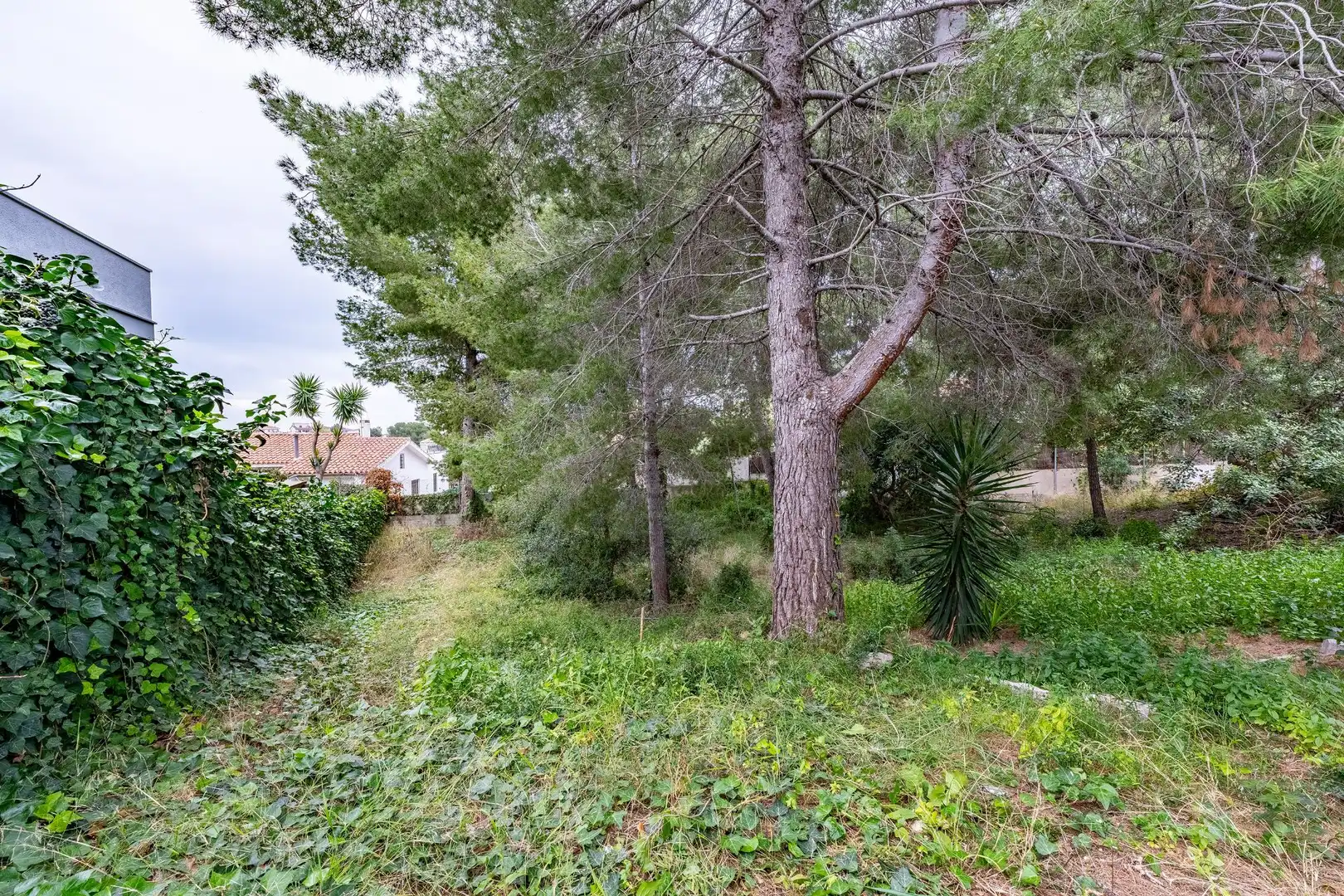 Terrenos y solares en venta en MEDITERRANEO, imagen 17