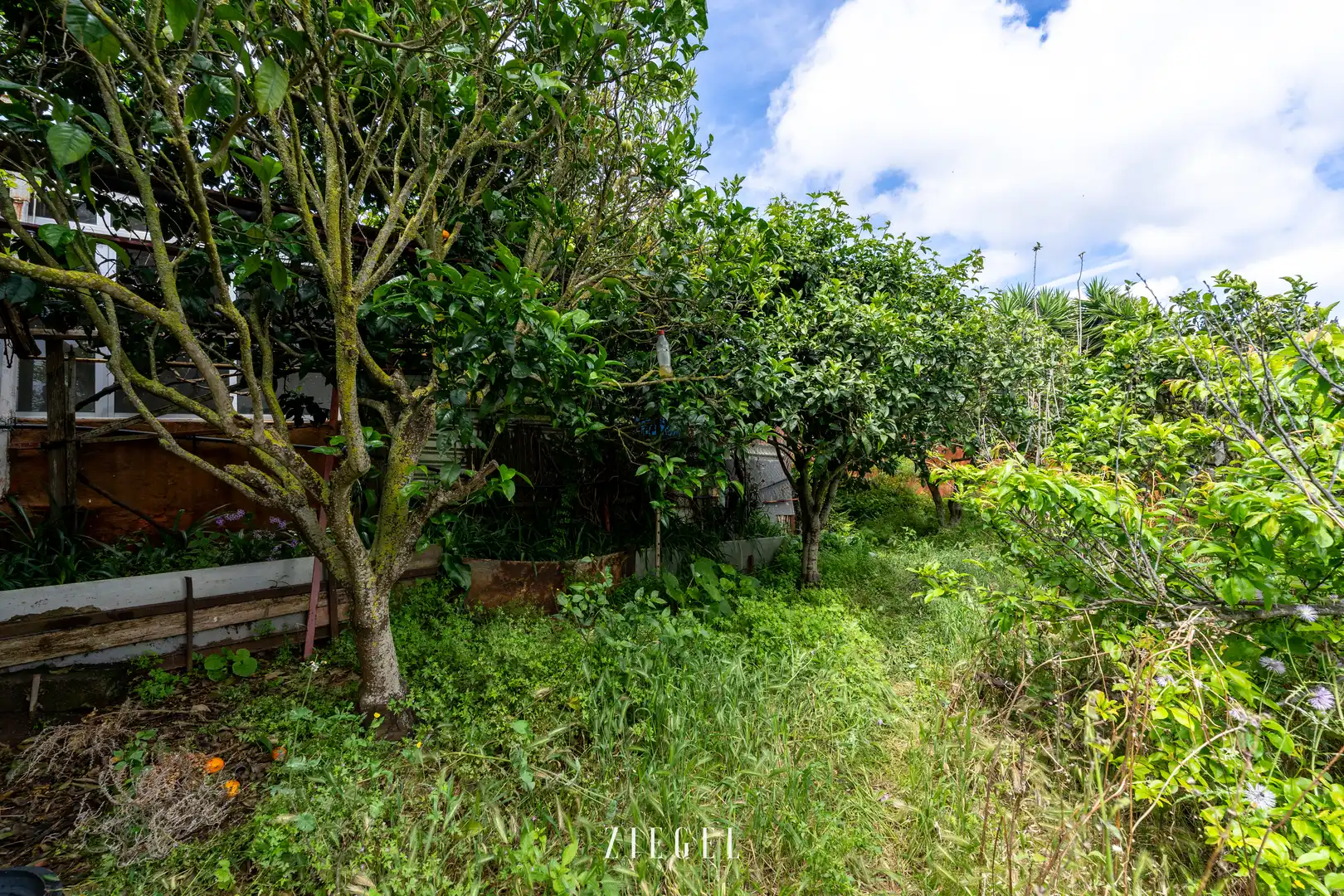 Casa o xalet en venda en Santa Brígida amb Jardí privat, Terrassa i Balcó