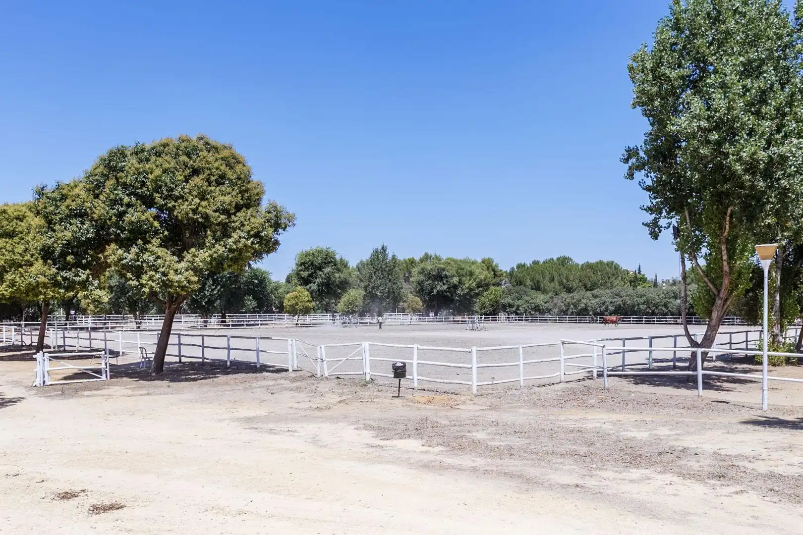 Vista exterior de Casa o xalet en venda en Bormujos amb Jardí privat, Terrassa i Piscina