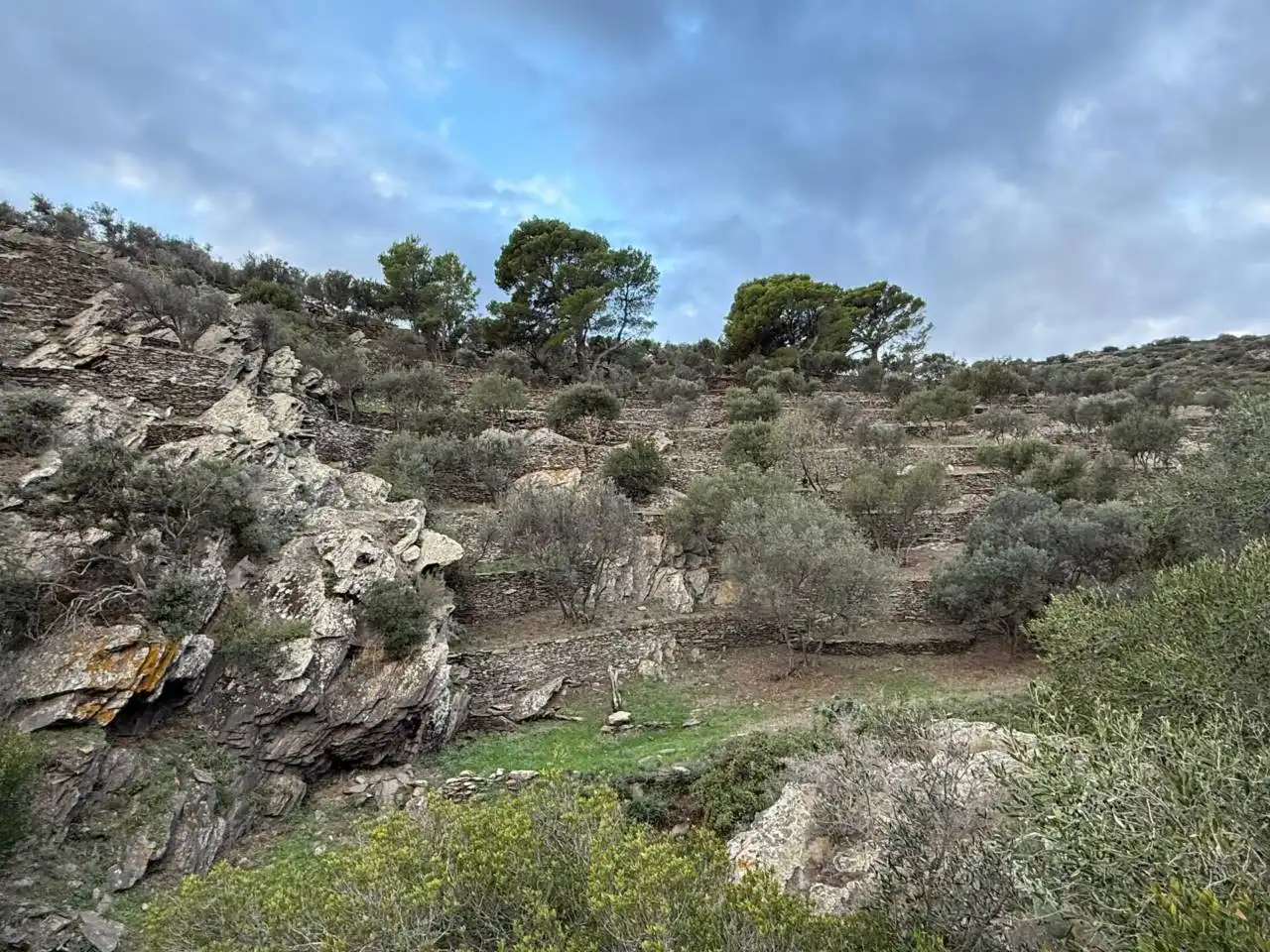 Rural land for sale in Cadaqués, imagen 12