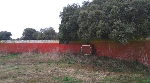 Photo 4 of Residential for sale in Pelagatos - Pago del Humo, Chiclana de la Frontera