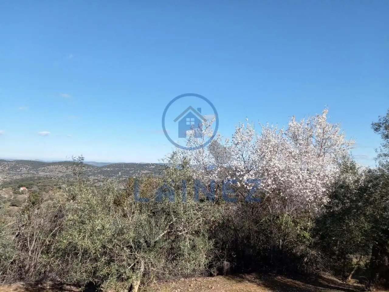 Terreno residenziale in vendita a Villanueva del Rey, imagen 42