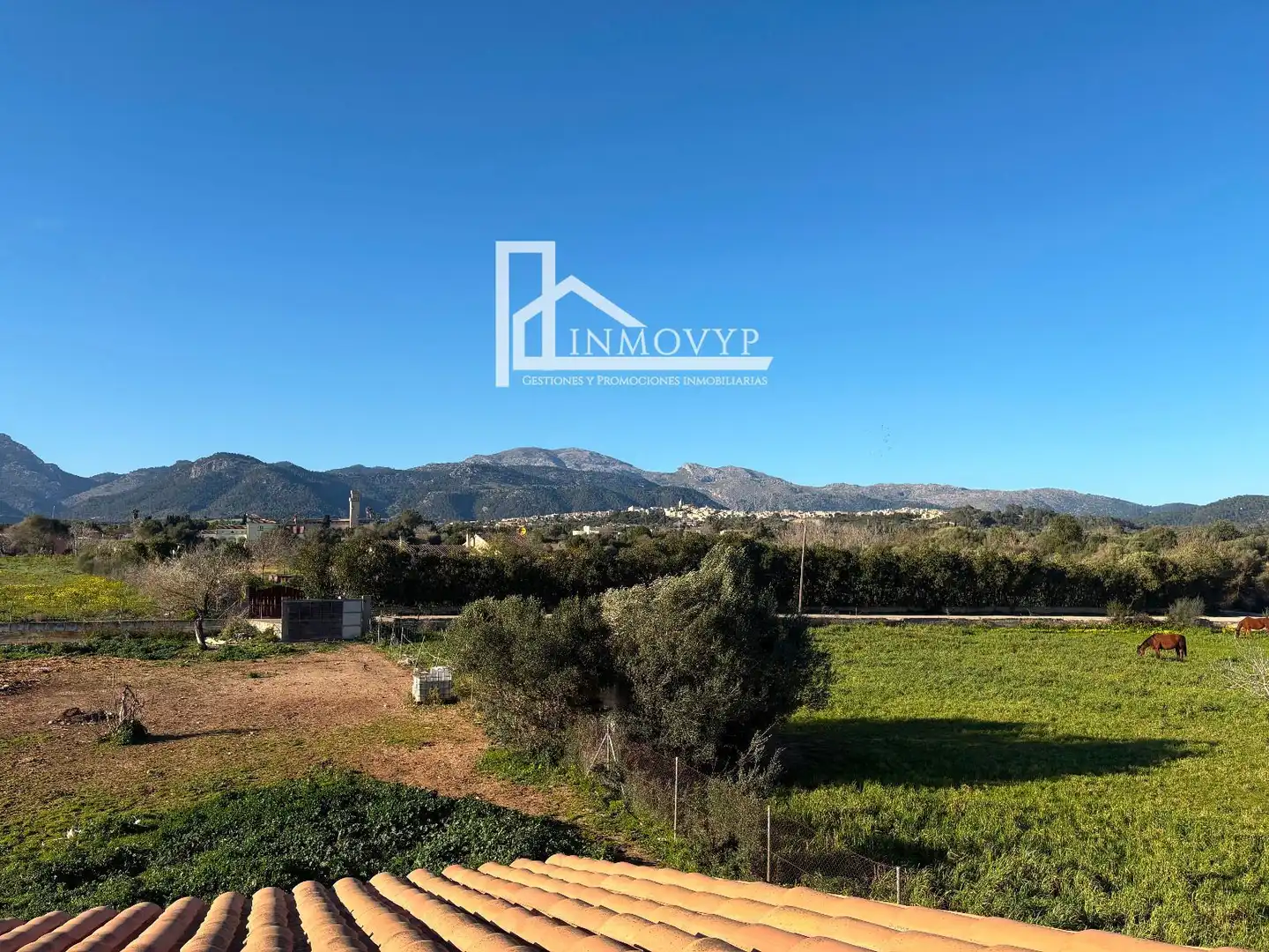 Finca rústica en venda en Búger amb Jardí privat, Terrassa i Traster