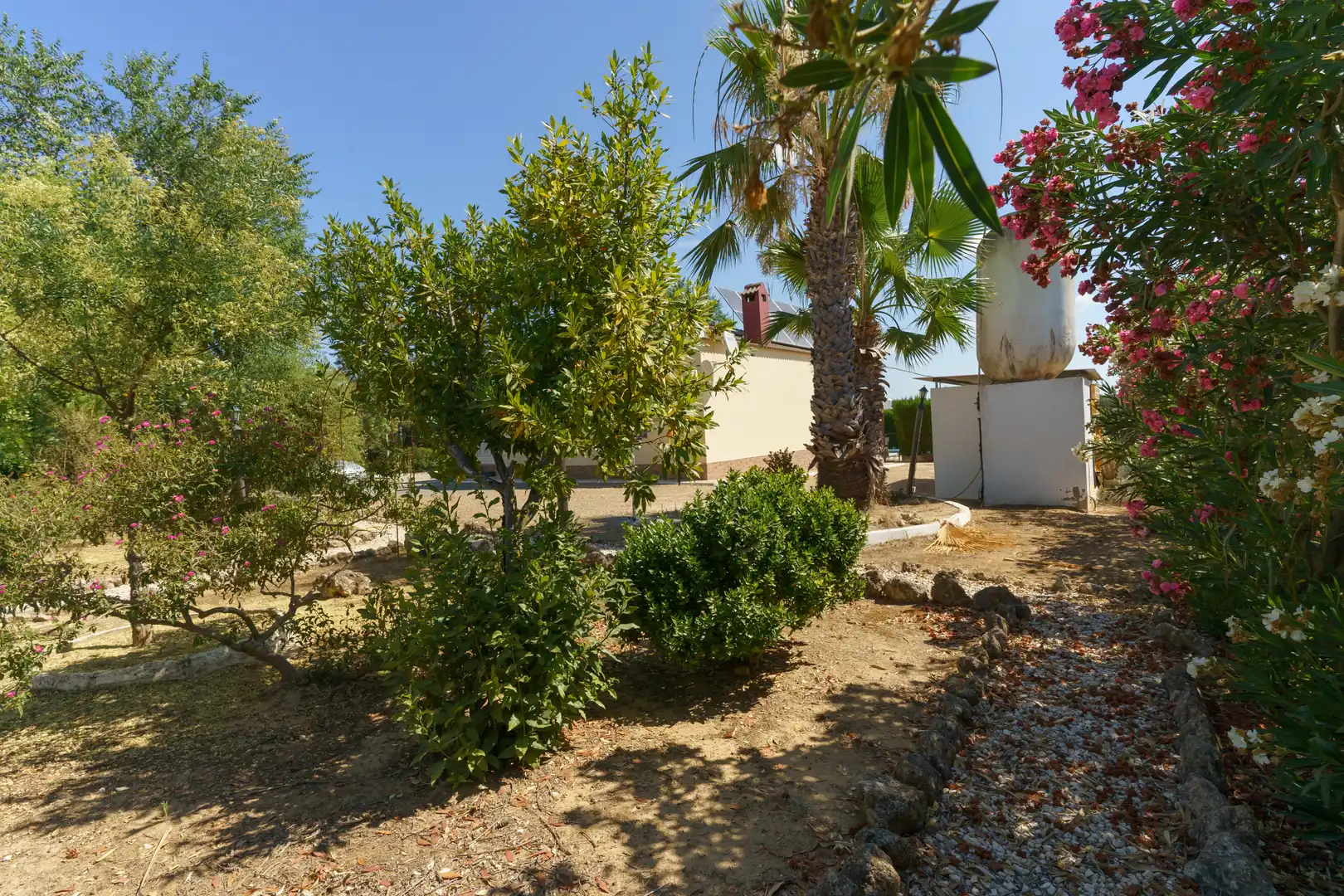 Jardín de Finca rústica en venta en La Palma del Condado con Jardín privado, Terraza y Piscina