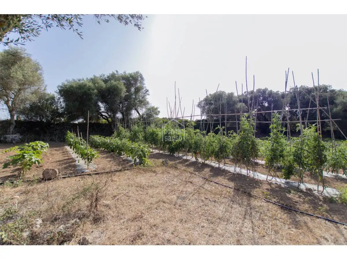 Detached house with pool for sale in Alaior poble, imagen 65