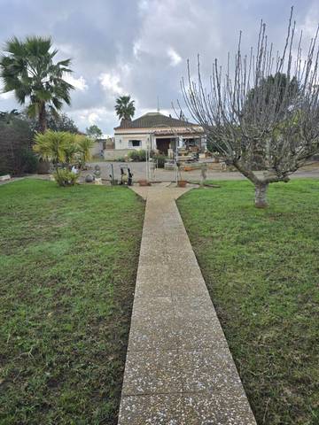 Finca rústica en Venta en Camino venta la raya  en Pelagatos - Pago del Humo