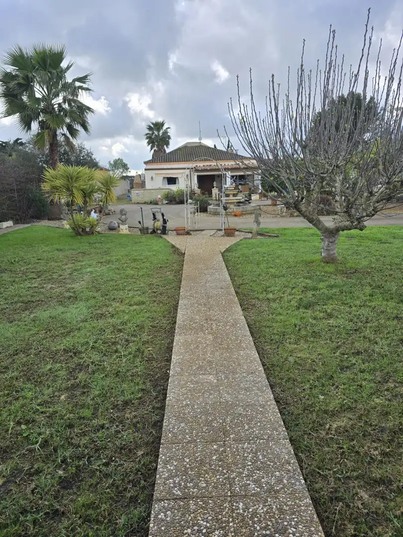 Garden of Country homes for sale in Chiclana de la Frontera  with Private garden, Storage room and Swimming Pool