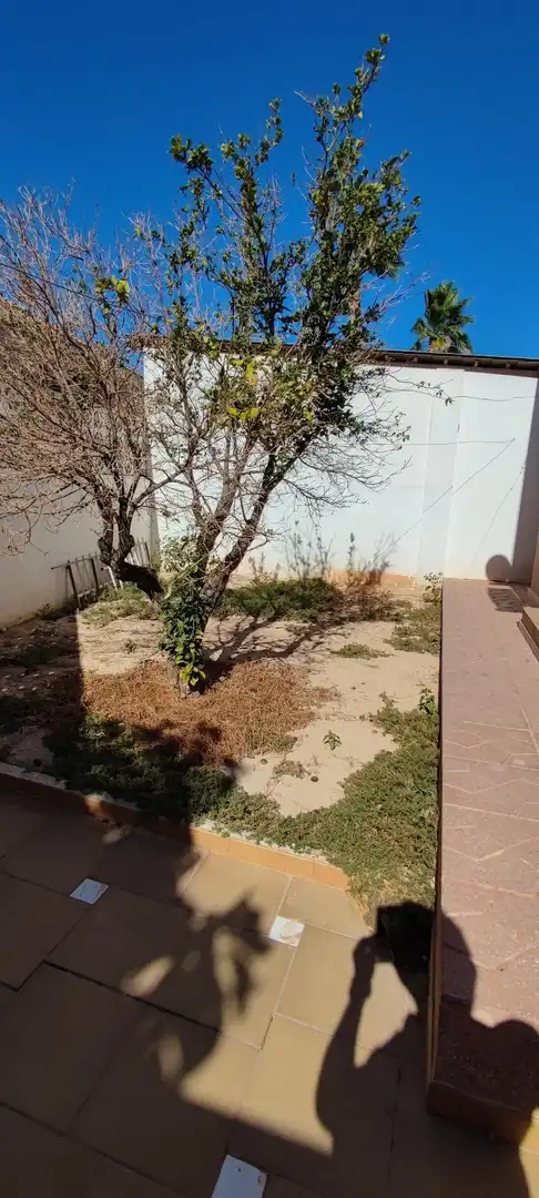Casa o chalet en venta en Elche / Elx con Aire acondicionado, Jardín privado y Terraza