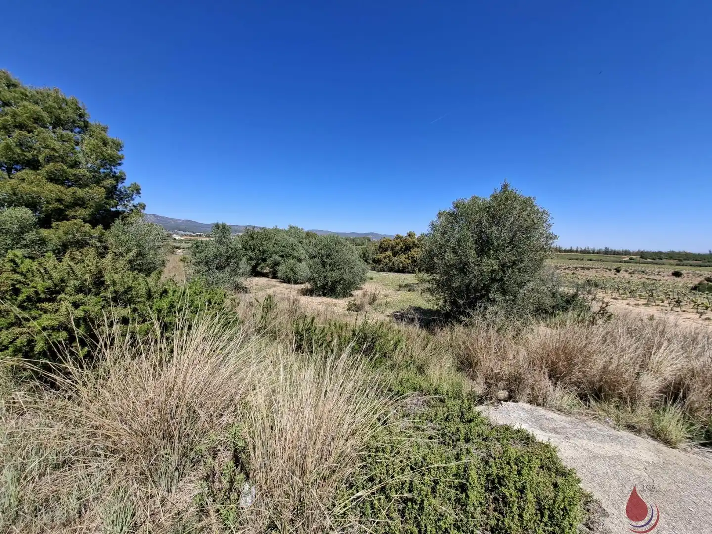 Terrenos y solares en venta en CTRA EL VENDRELL 593, imagen 3