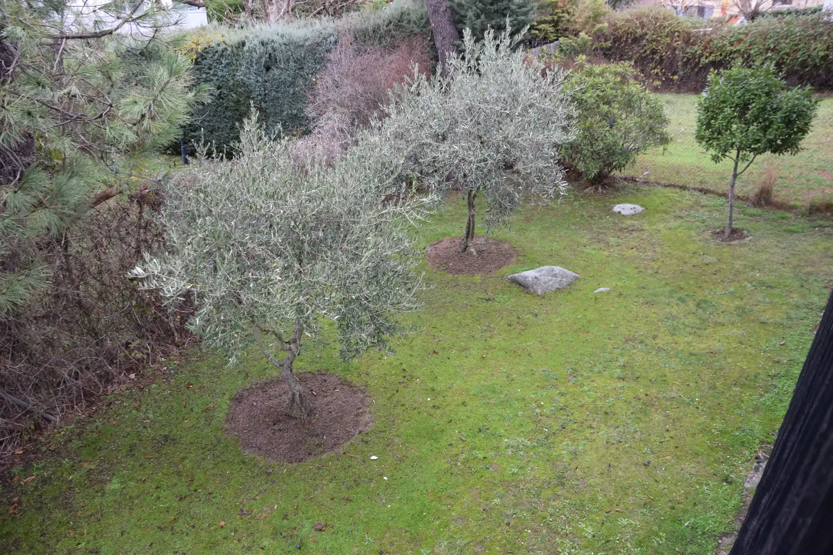 Jardín de Casa o chalet en venta en Moralzarzal con Calefacción, Jardín privado y Terraza