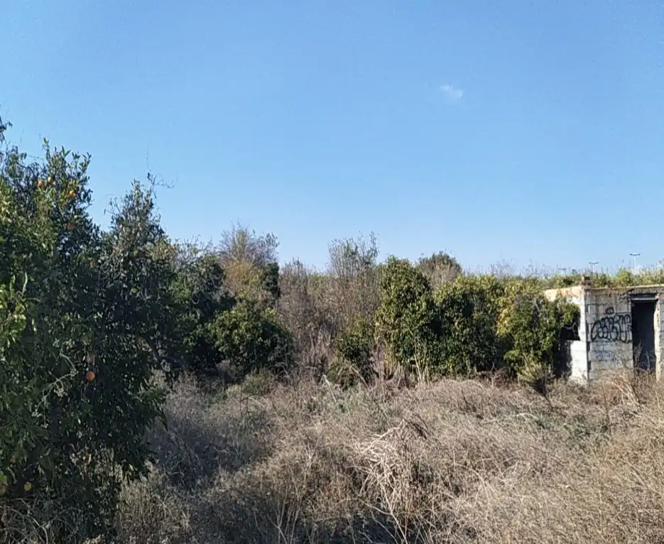 Terreny residencial en venda a LA ALBERCA, imagen 6