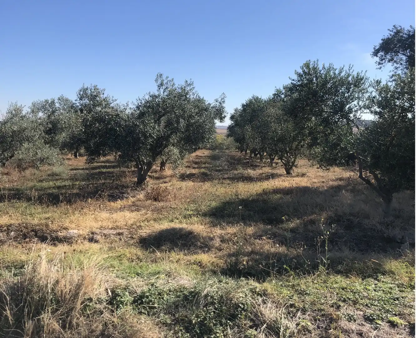 Terrenys i solars en venda a Alberite, imagen 3