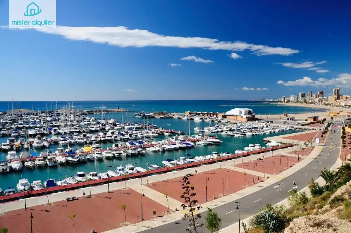 Vista exterior de Apartament de lloguer en El Campello amb Aire condicionat, Calefacció i Terrassa
