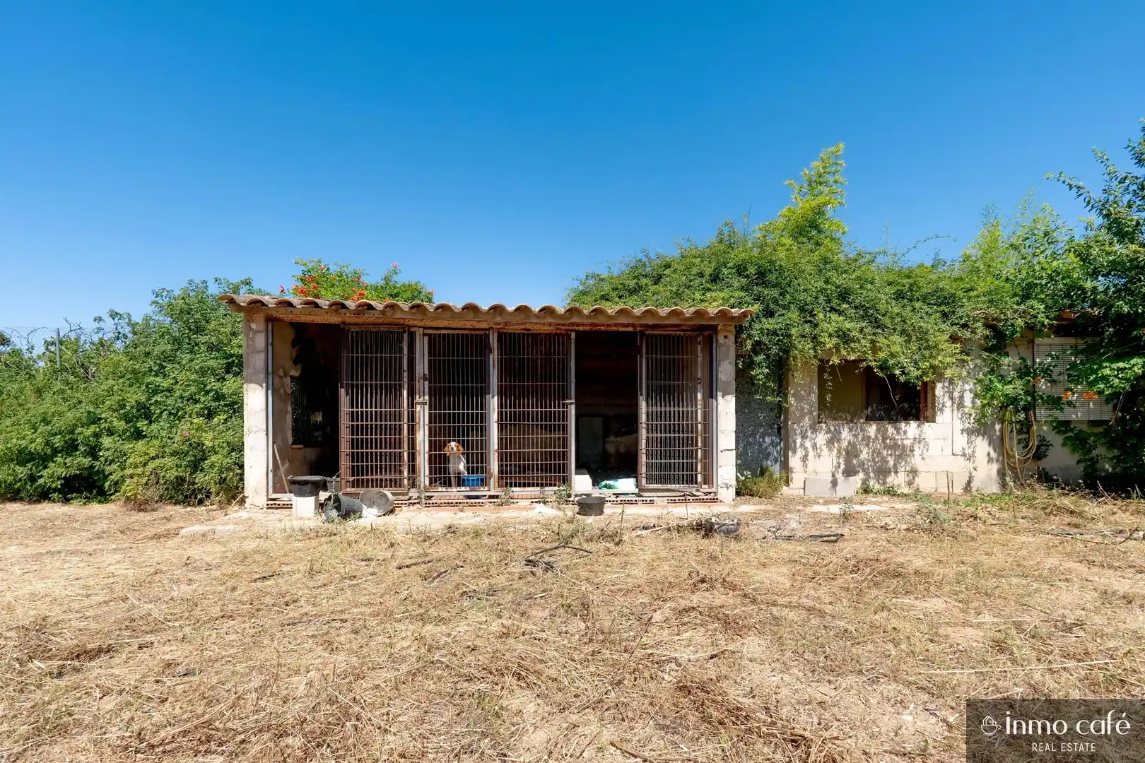 Exterior view of Houses for sale in Canals  with Terrace