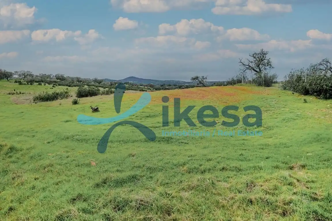 Land for sale in Puebla de Guzmán