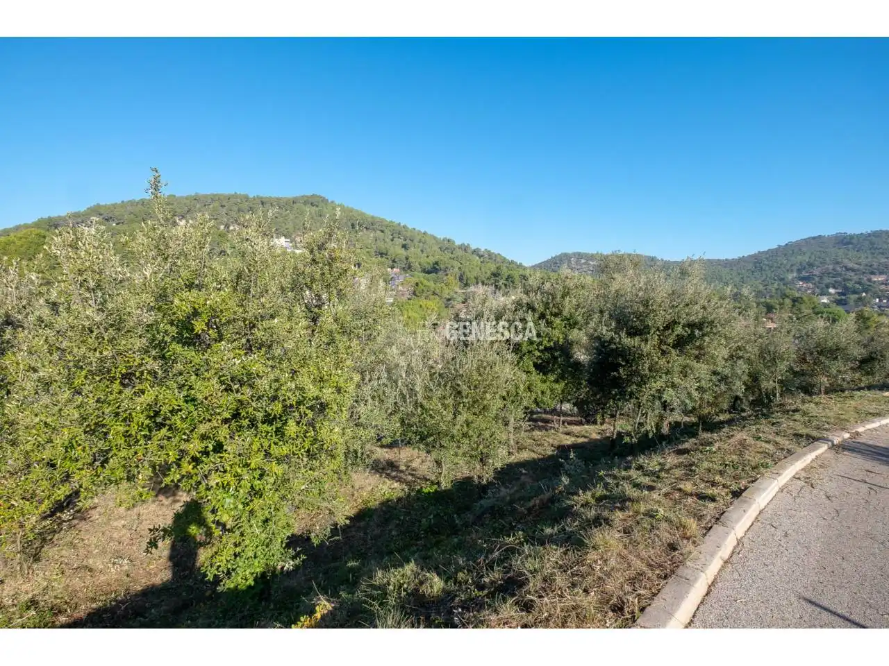 Terrain résidentiel à vendre à Calle Poeta Maragall 36, imagen 2