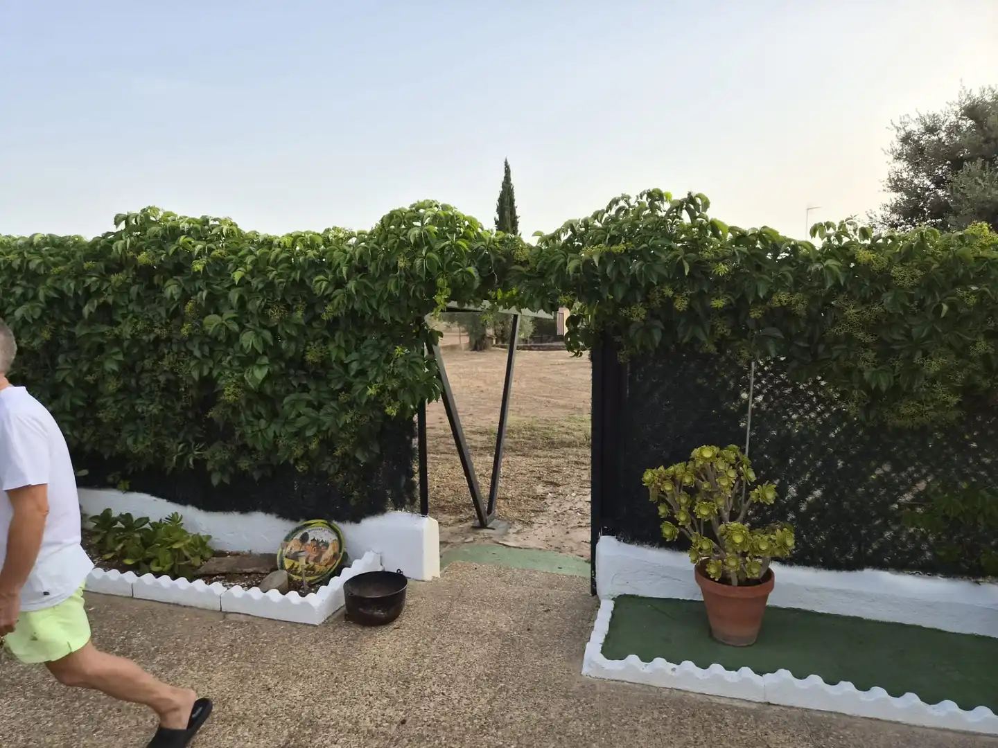 Jardín de Casa o chalet en venta en Almendralejo con Aire acondicionado, Calefacción y Jardín privado