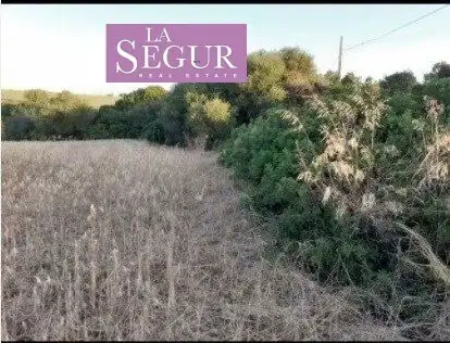 Rural land for sale in Conil, imagen 17