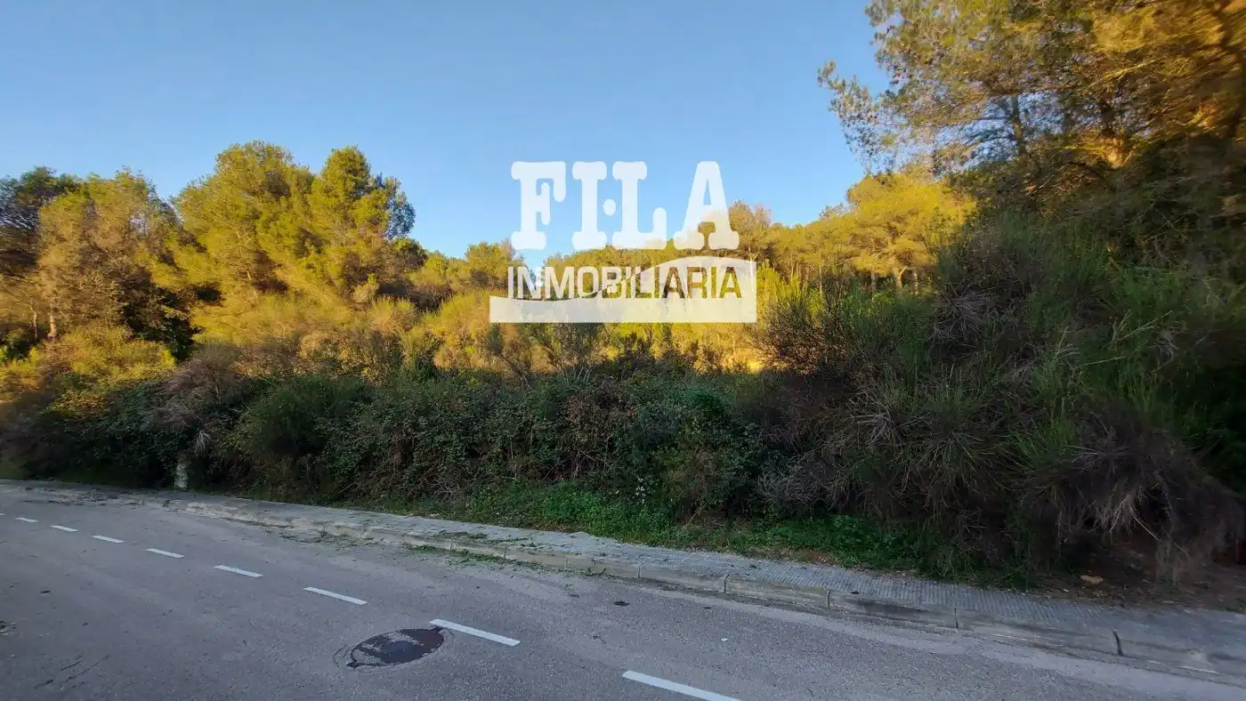 Terreno rustico in vendita a xavier montsalvatge  en  mas romeu, imagen 2