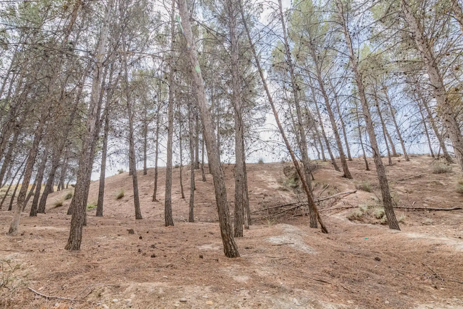 Apartament en venda a Baza, imagen 43