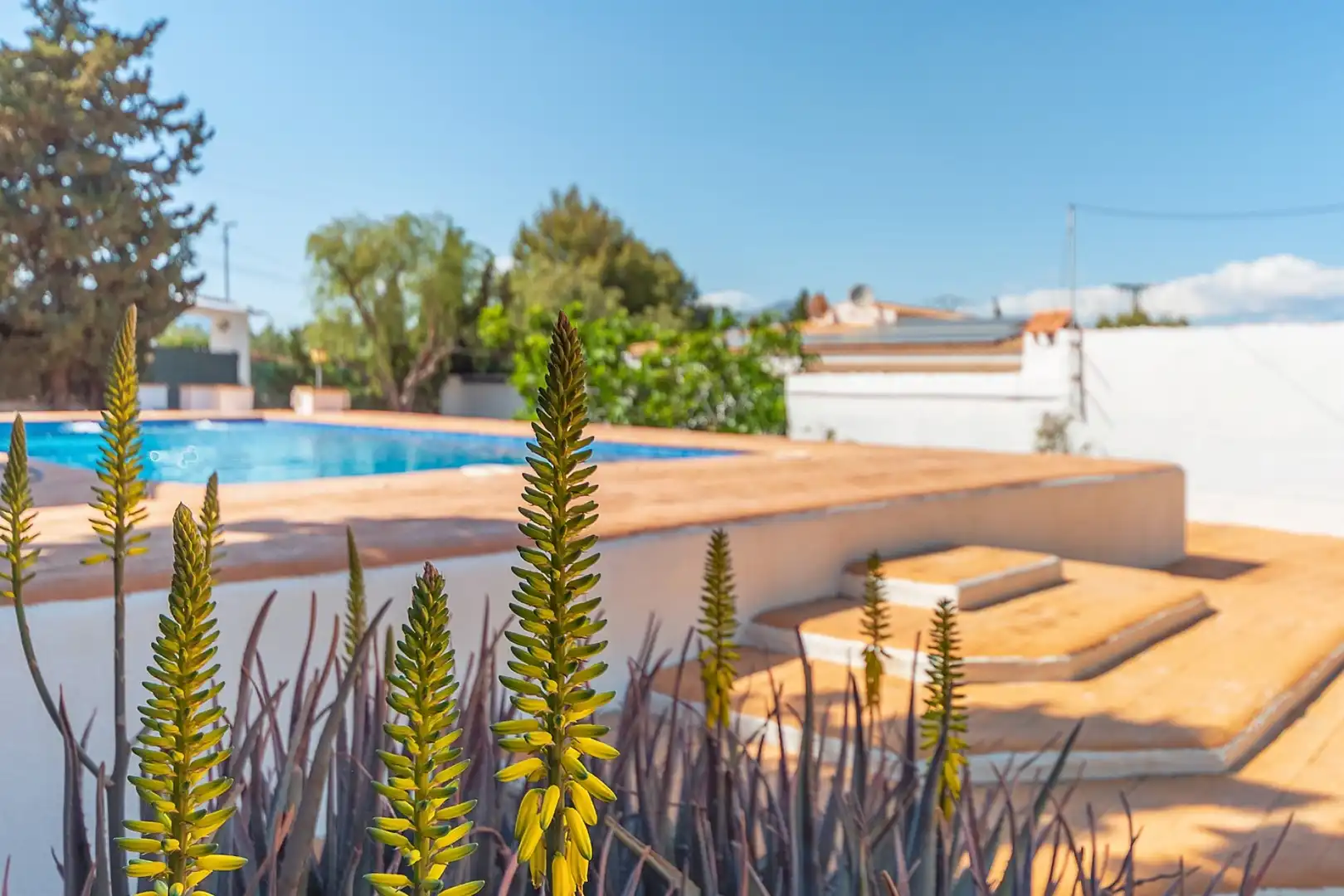 Schwimmbecken von Haus oder Chalet zum Verkauf in Alicante / Alacant mit Schwimmbad