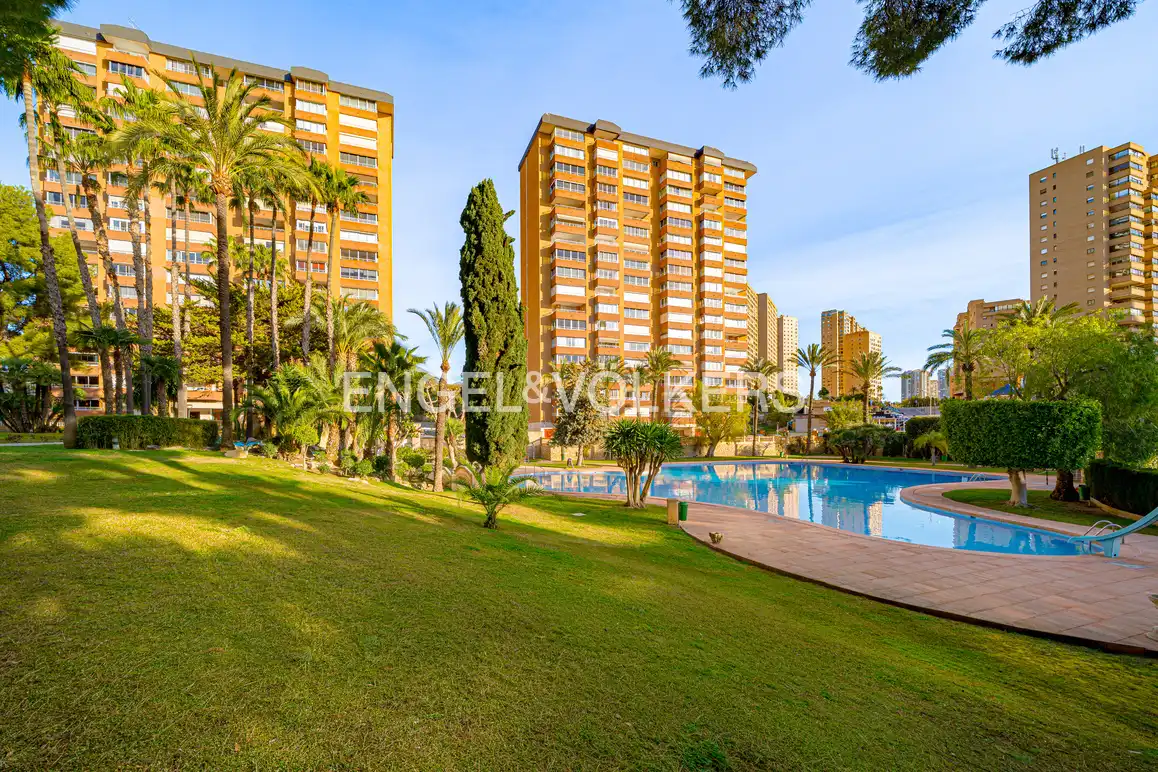 Wohnung mit Pool zur Miete in Avinguda Marina Baixa 1, imagen 30