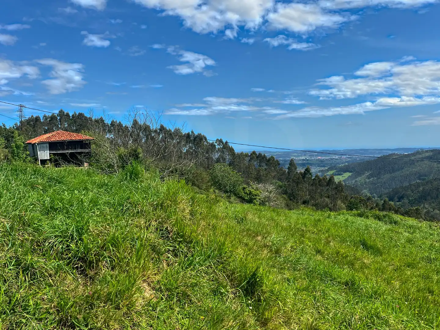 Lands and plots for sale in Pillarno, imagen 24