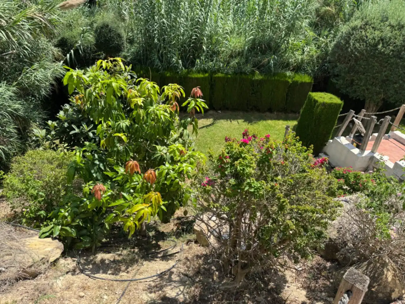 Detached house with pool for sale in Cala Advocat - Baladrar, imagen 37