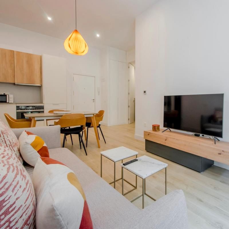 Living room of Apartment to rent in  Madrid Capital  with Air Conditioner, Furnished and Pets allowed