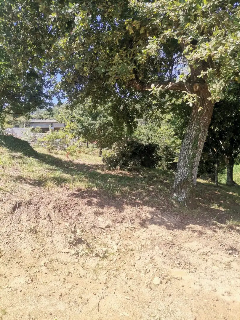 Terrenys i solars en venda a Mos, imagen 27