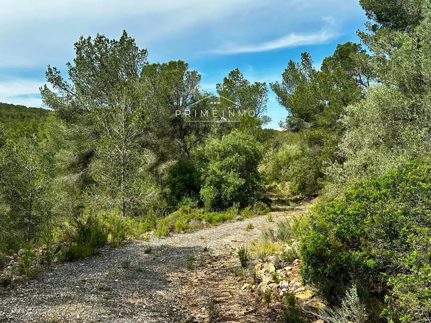 Terreno rústico en venta en Tivissa, imagen 67