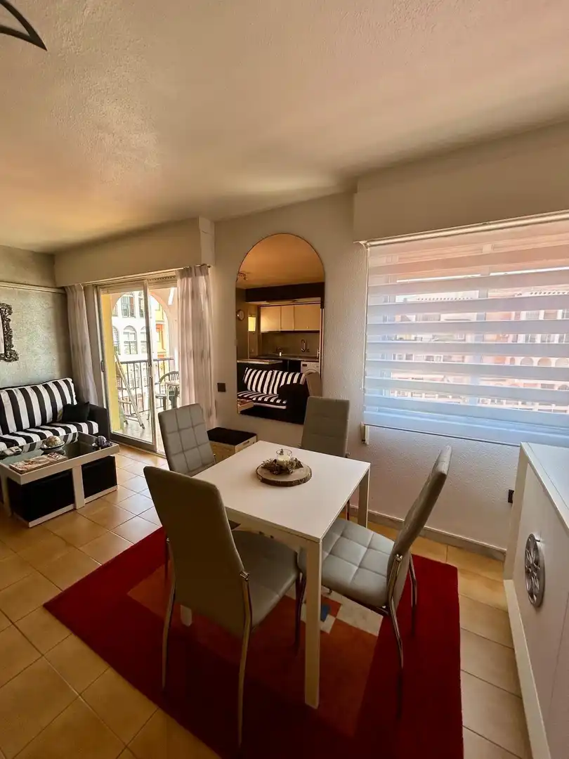 Penthouse with terrace for sale in Avenida Avenida Don Juan de Austria, imagen 9