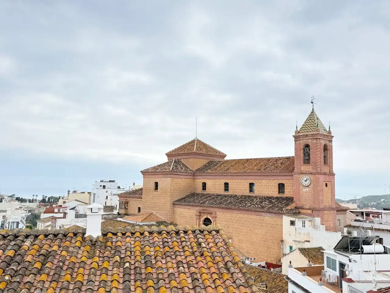 Vista exterior de Finca rústica en venta en Torrox