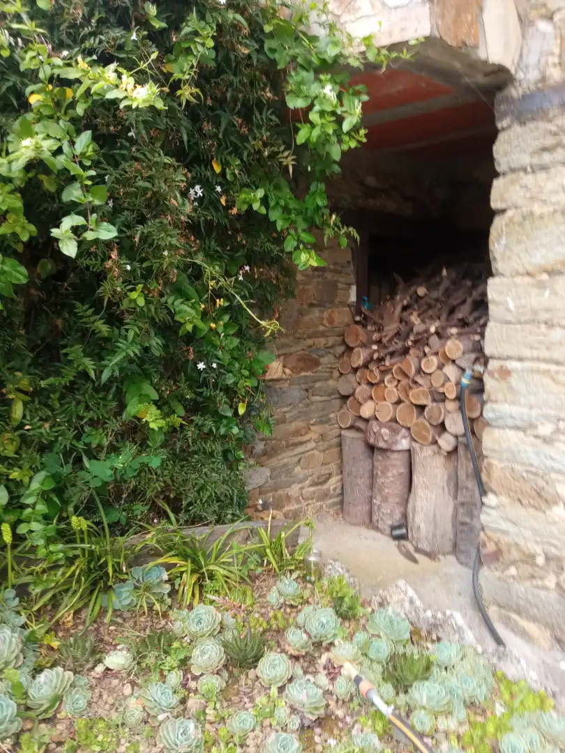 Jardín de Finca rústica en venta en Tineo con Jardín privado, Parquet y Terraza