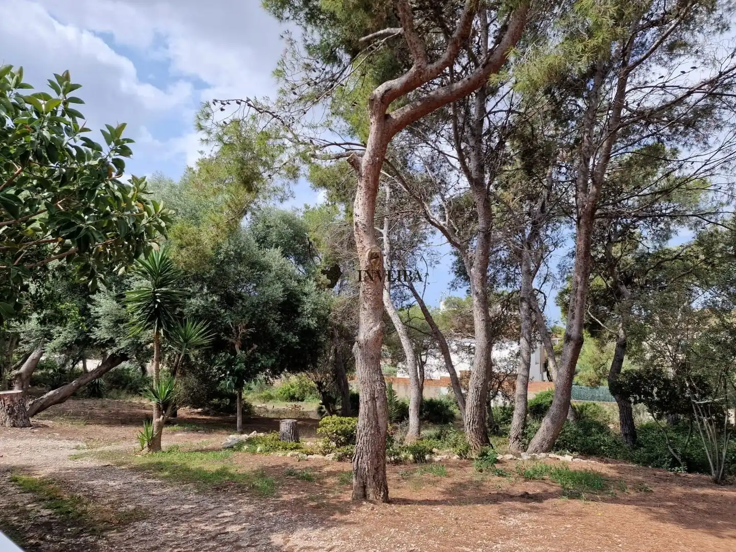 Casa o chalet de alquiler en La Franquesa - Oasis Park