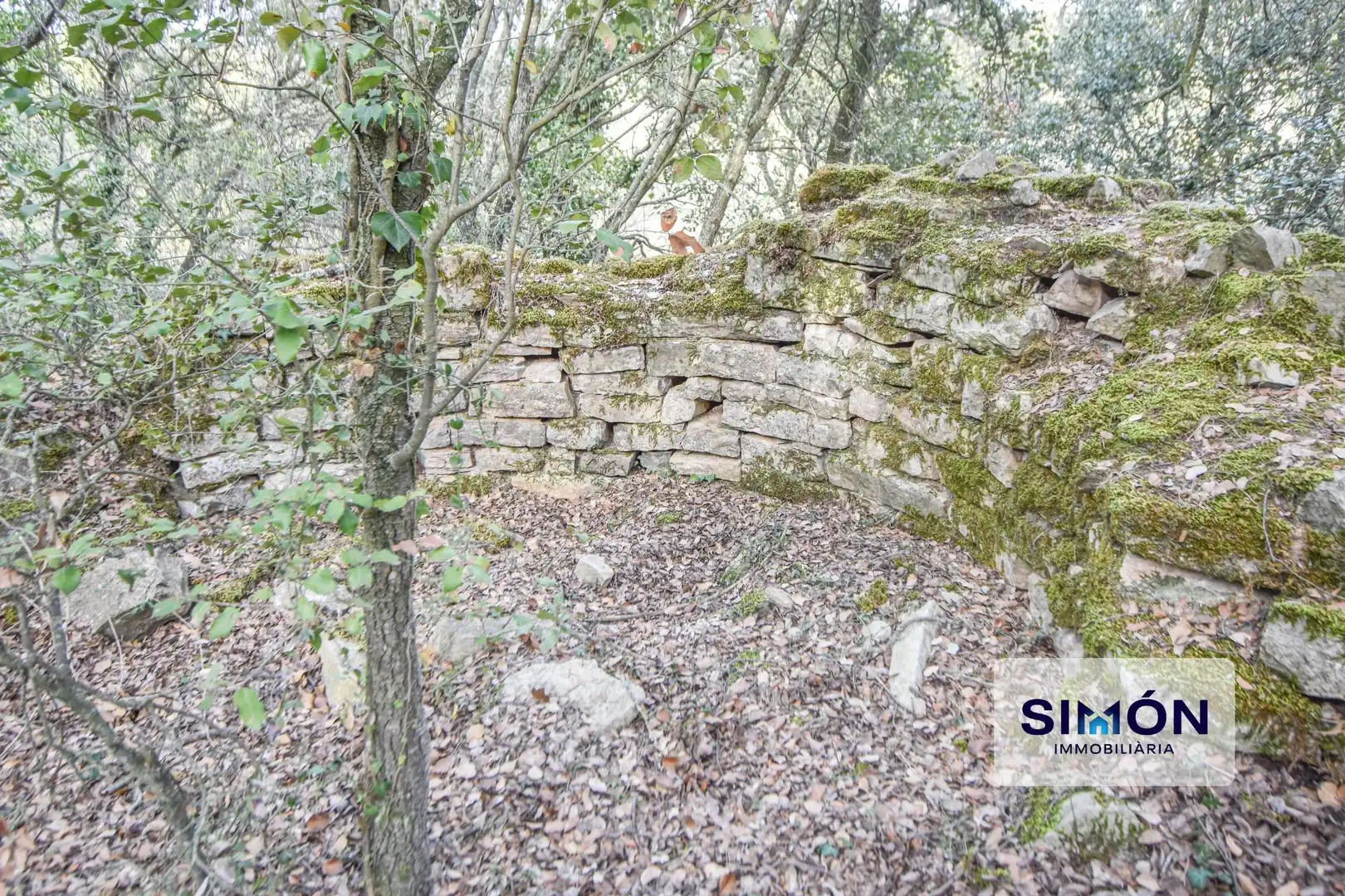 Finca rústica en venta en Veciana