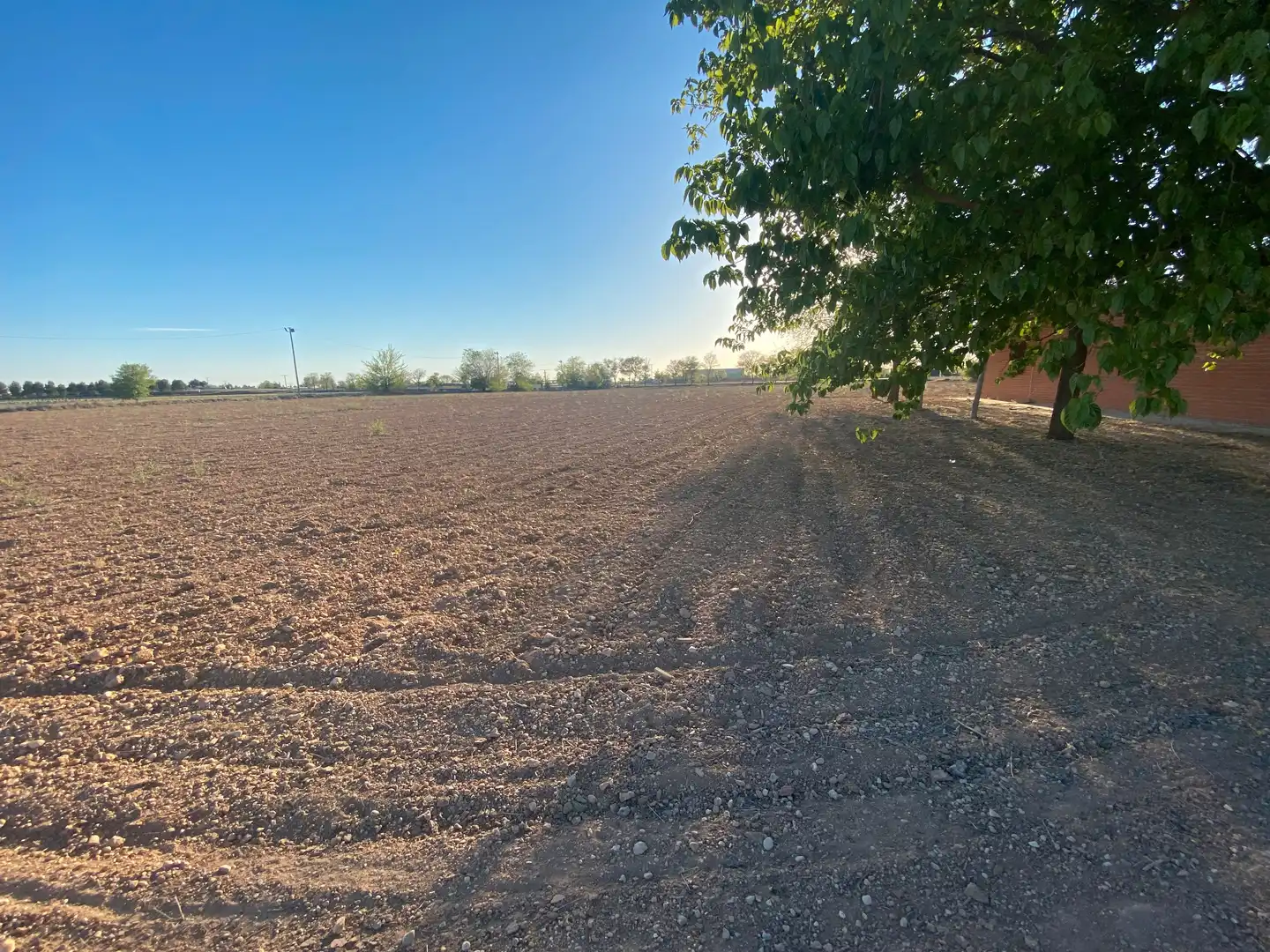 Casa o chalet en venta en Tomelloso con Jardín privado, Trastero y Amueblado