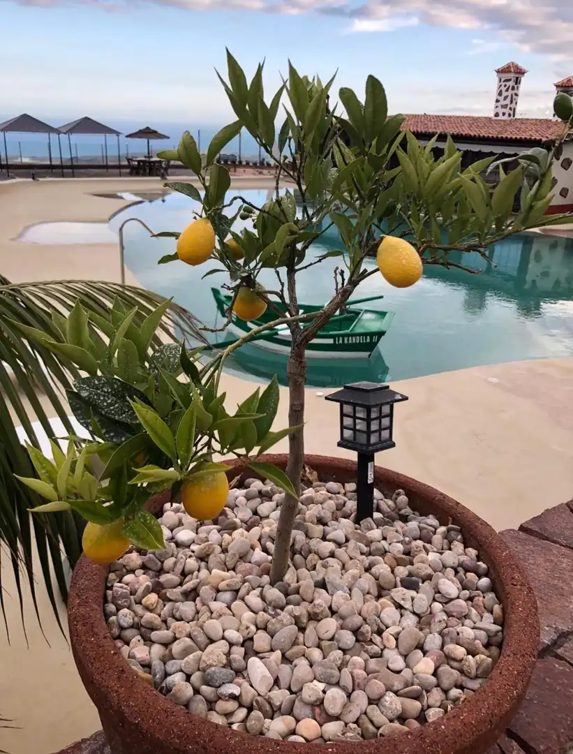 Piscina de Casa o xalet en venda en San Miguel de Abona amb Jardí privat, Traster i Piscina