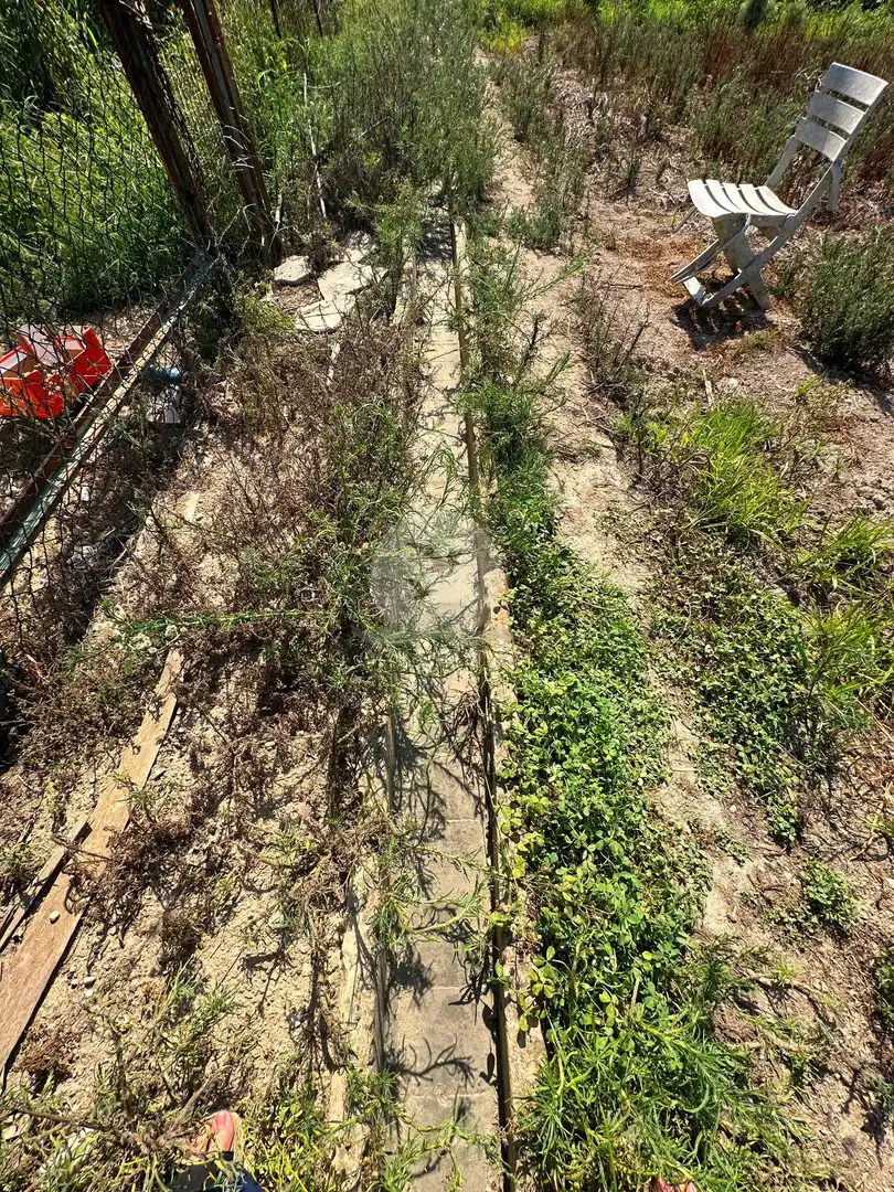Terreno rustico in vendita a Castelló d'Empúries, imagen 6