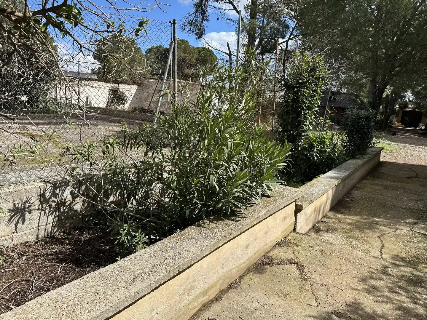 Garden of Country homes for sale in Longares, Zaragoza