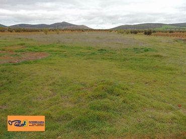 Terreny rústic en venda a San Carlos del Valle