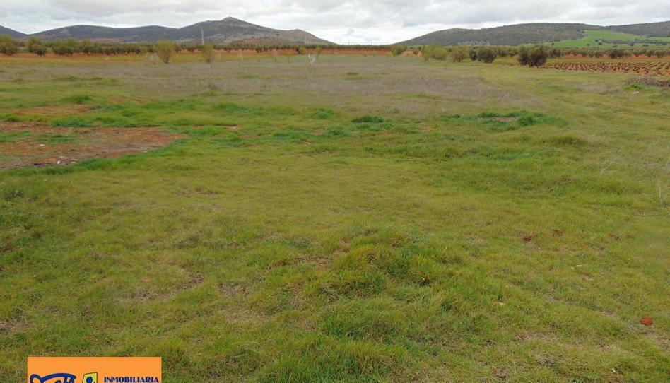 Photo 1 of Land for sale in San Carlos del Valle, Ciudad Real