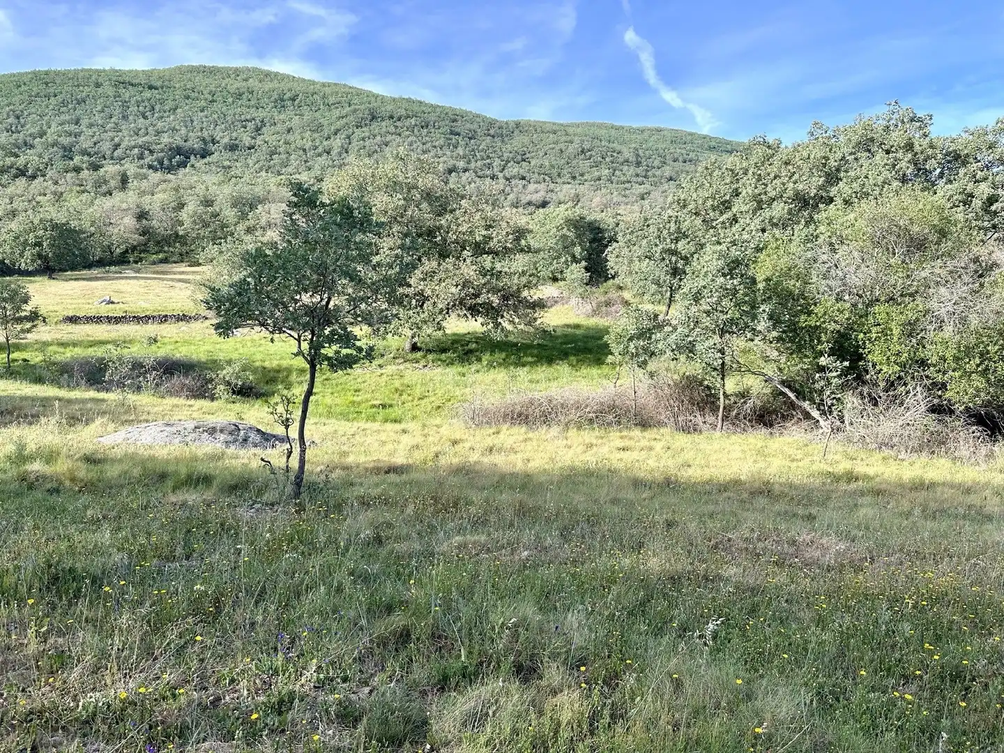 Terreni e lotti in vendita a Malpartida de Plasencia, imagen 8