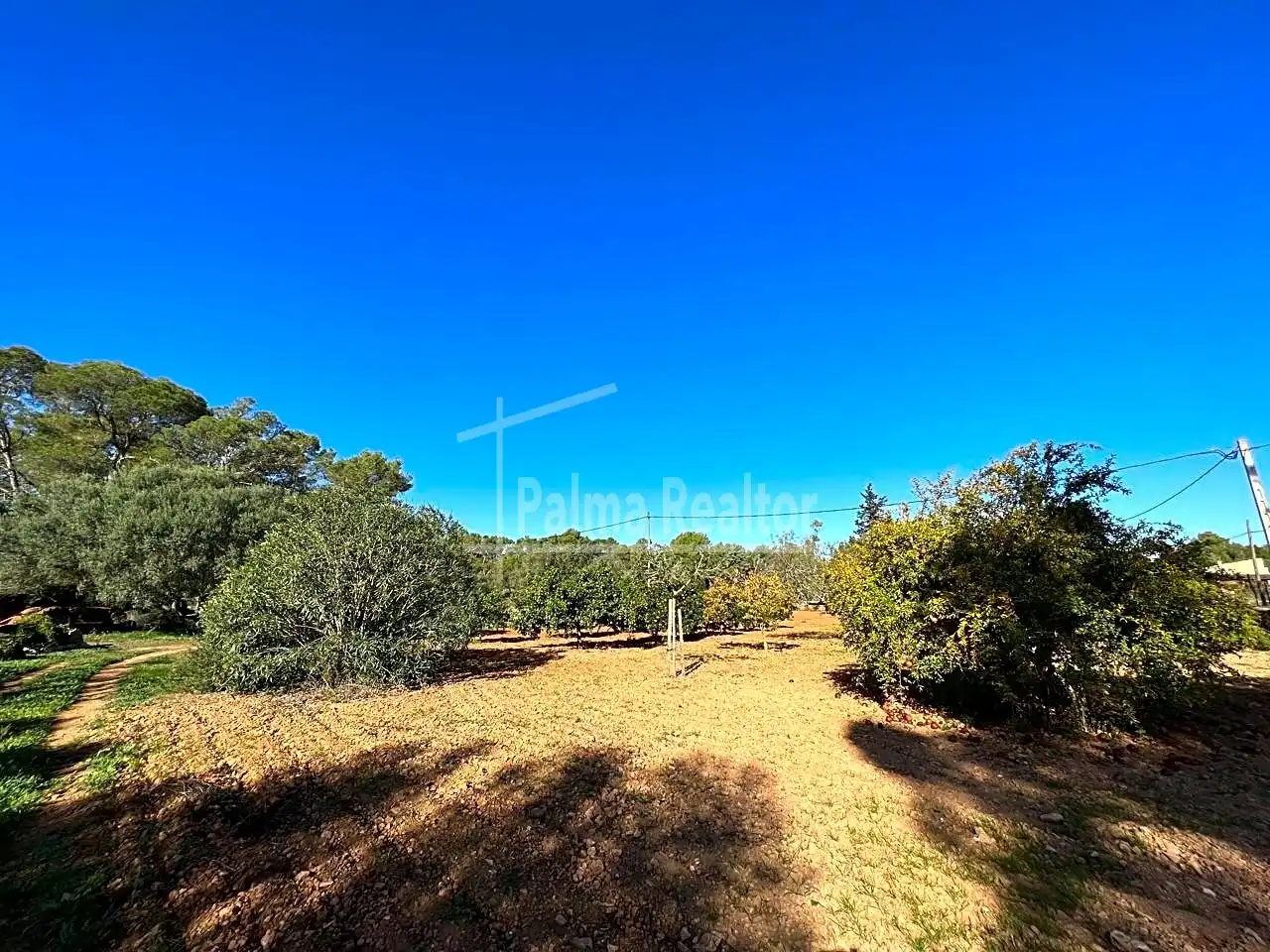 Terreno rustico in vendita a Algaida, imagen 3