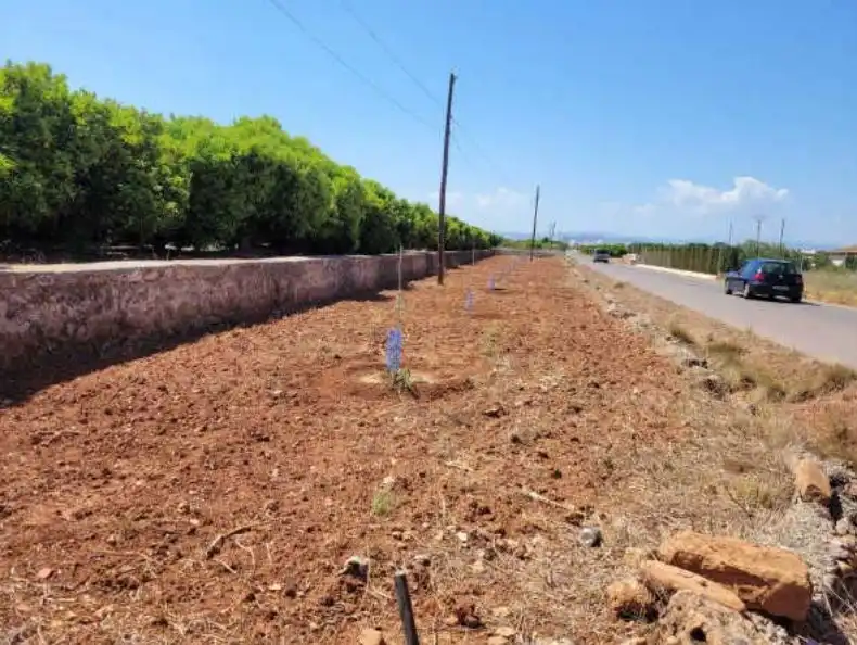 Rural land for sale in Camino de Onda, imagen 6