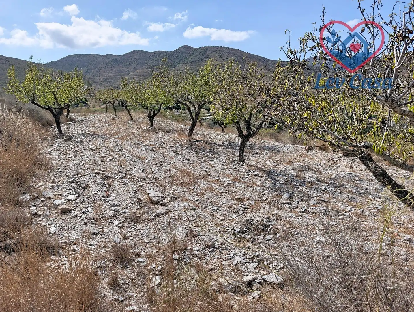Terreno rustico in vendita a Playa del Galán, imagen 31