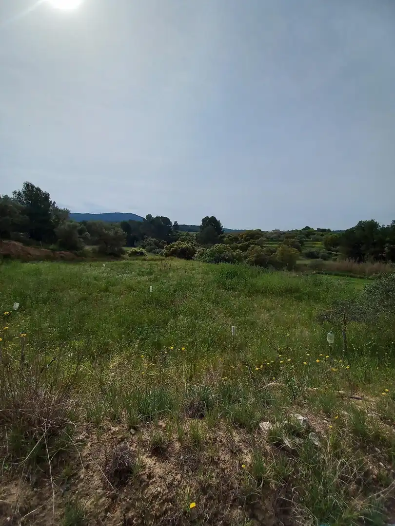Terrain rustique à vendre à Ginestar, imagen 20