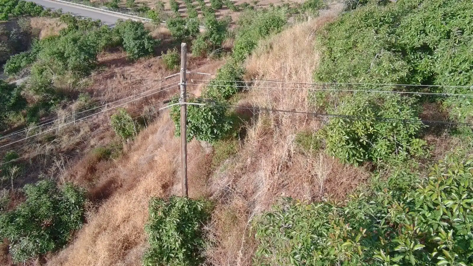 Terrain rustique à vendre à Vélez-Málaga ciudad, imagen 9