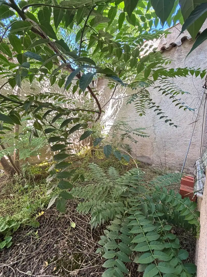 Garden of Houses for sale in Moral de Calatrava